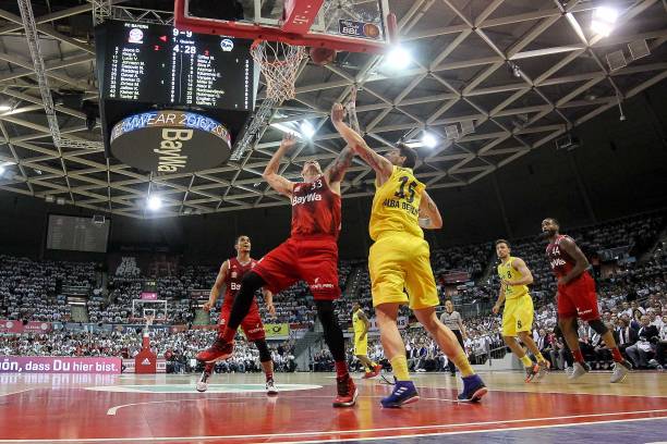 诺卡丽尼在 诺卡丽尼在